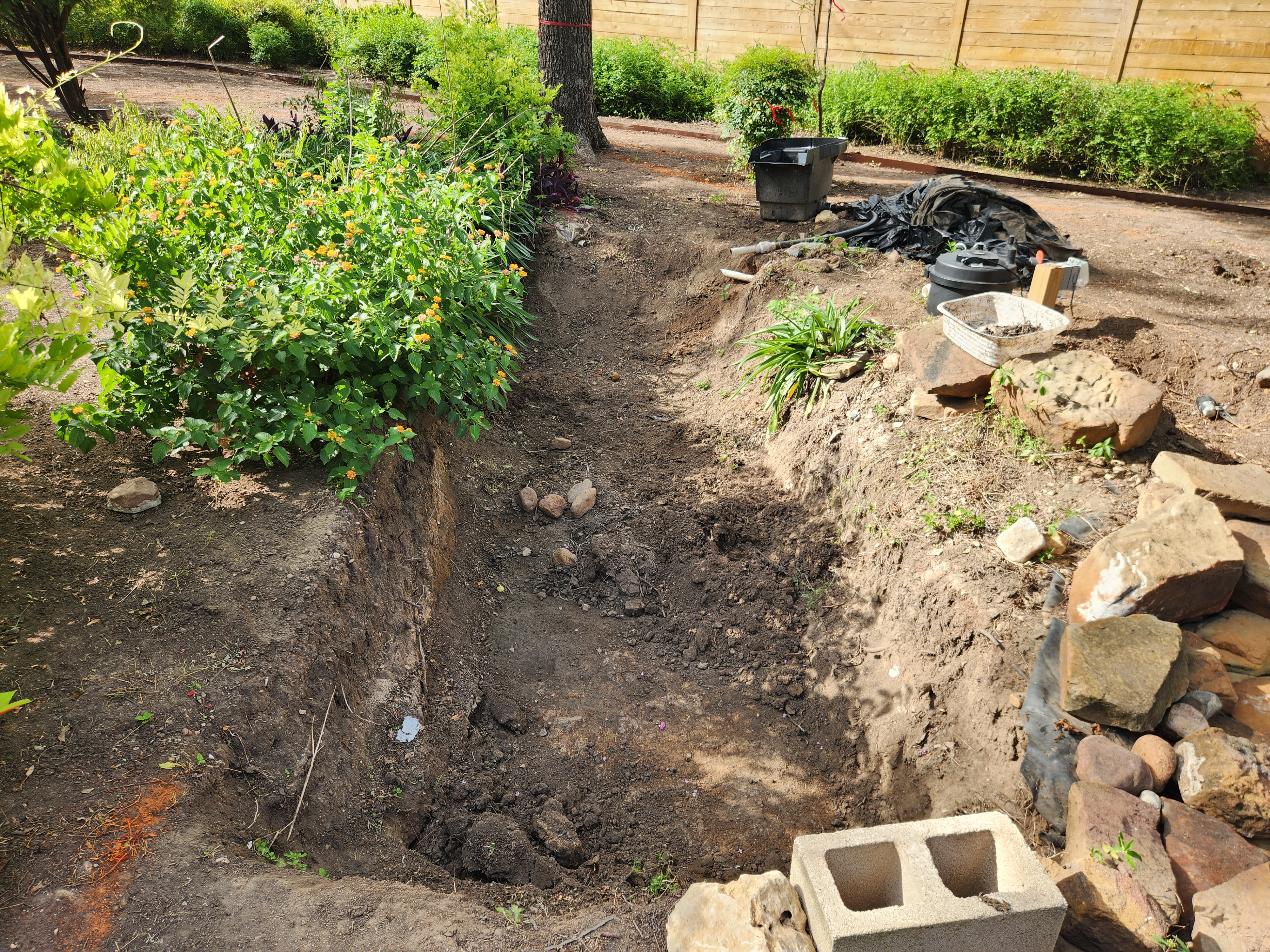 Before image