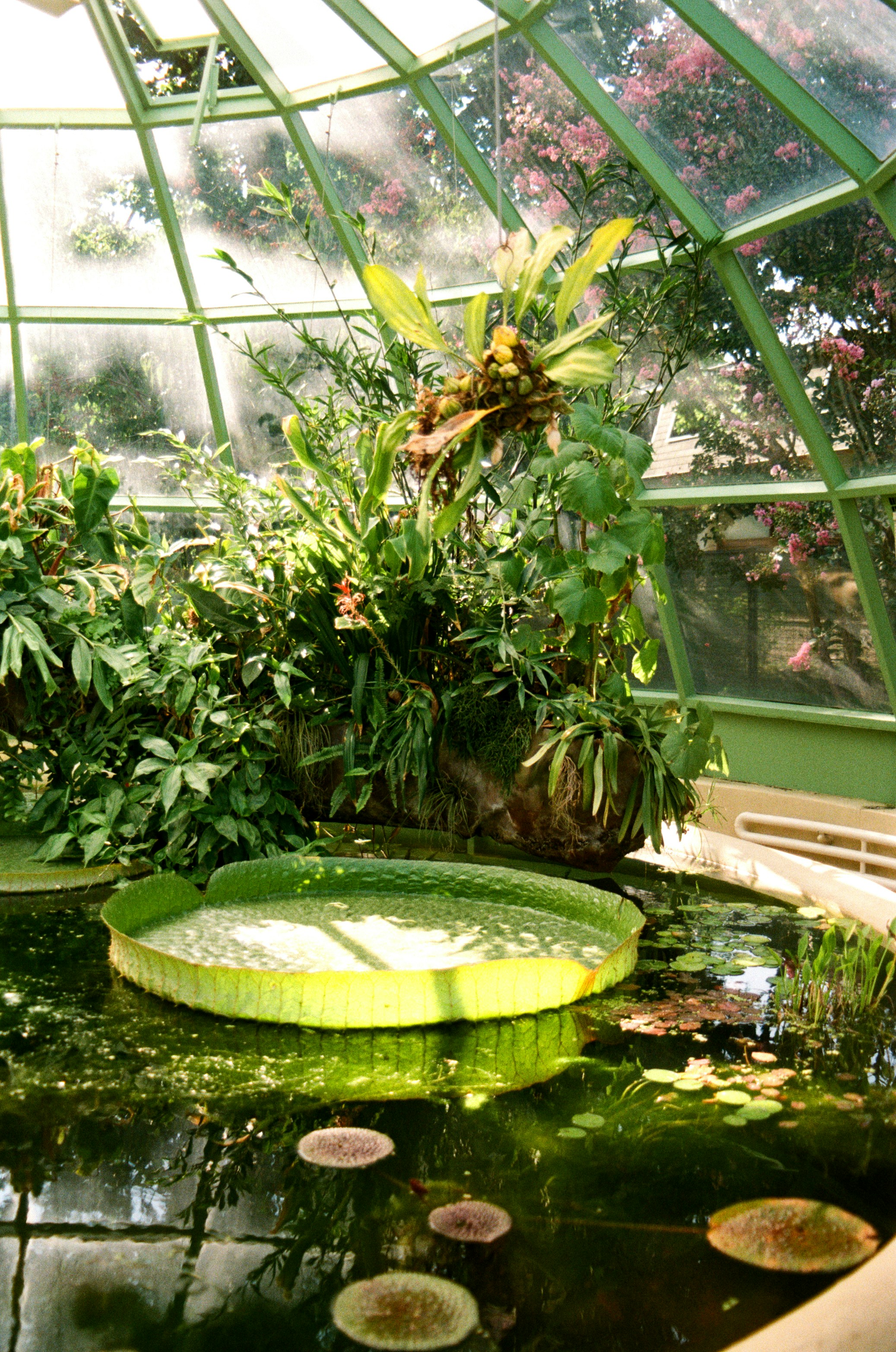 Landscape design showcase